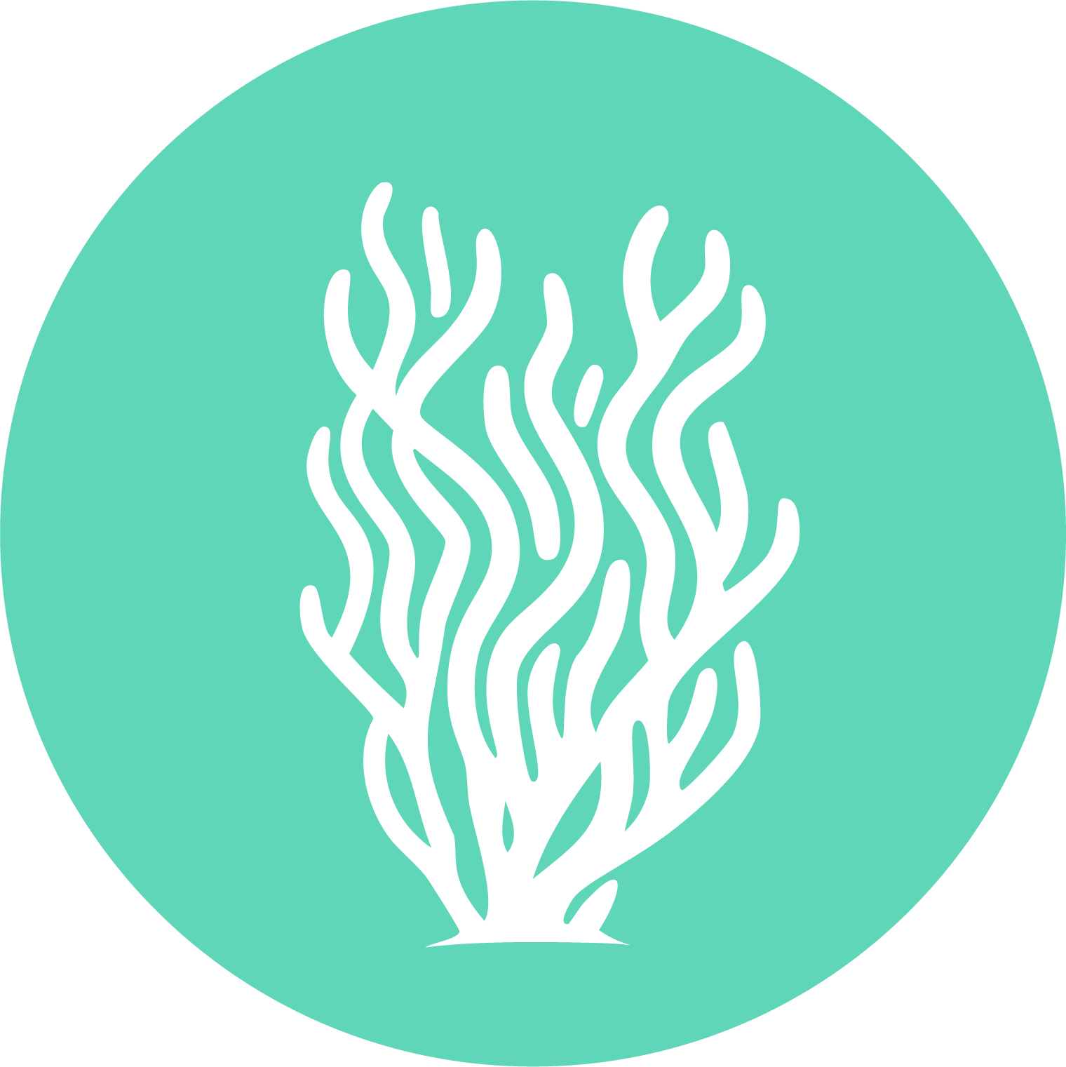 icon for sea kelp extract