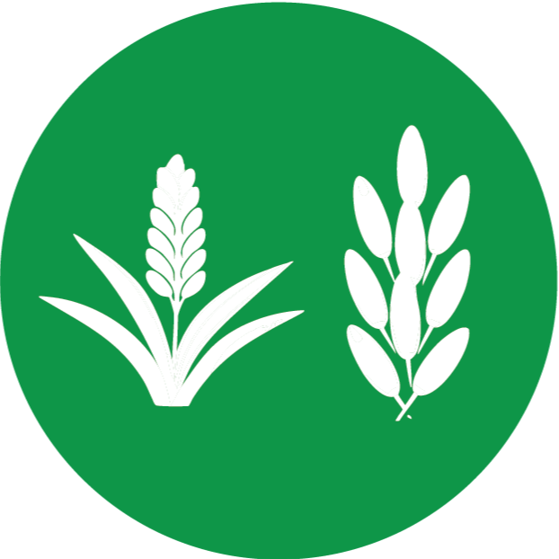 icon for oat and rice proteins